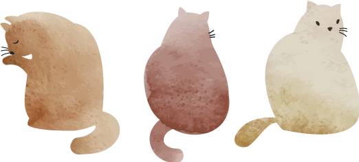 日本必买的面膜有哪些,日本购物必买清单护肤品2019