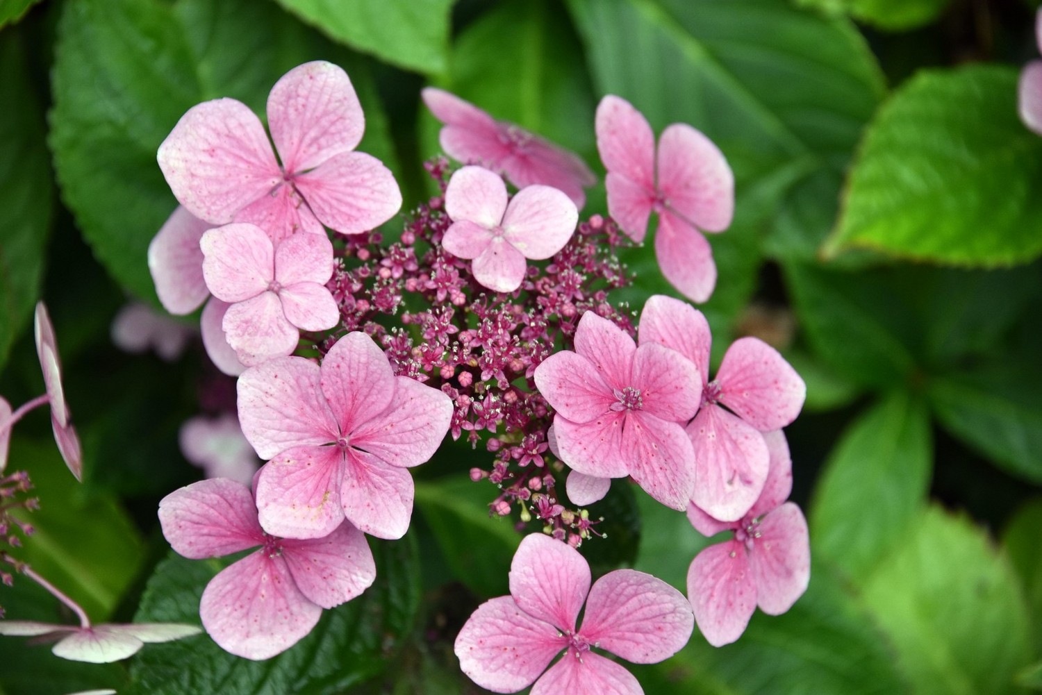 英国著名的城堡有哪些,英国城堡多少年了