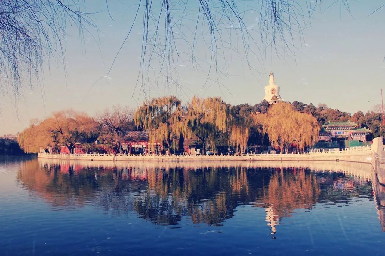 「夜读」“北平之秋便是人间天堂！”秋天的北京美成这样，难怪老舍如此盛赞……（有声朗读）