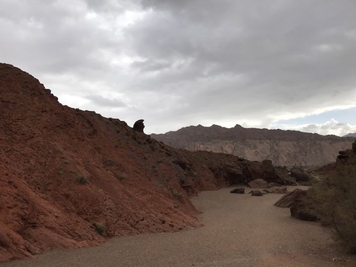 逃离阴雨缠绵的上海，说走就走的3日*疆新**胡杨游你想试试吗？｜附攻略