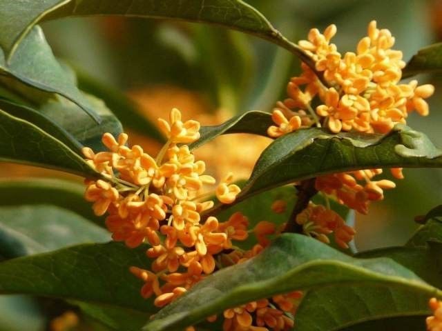 在潍坊生活压力大吗,在潍坊生活