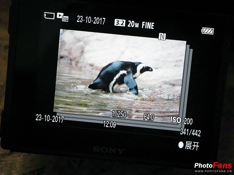 索尼黑卡rx10m4测评,索尼黑卡rx10五代