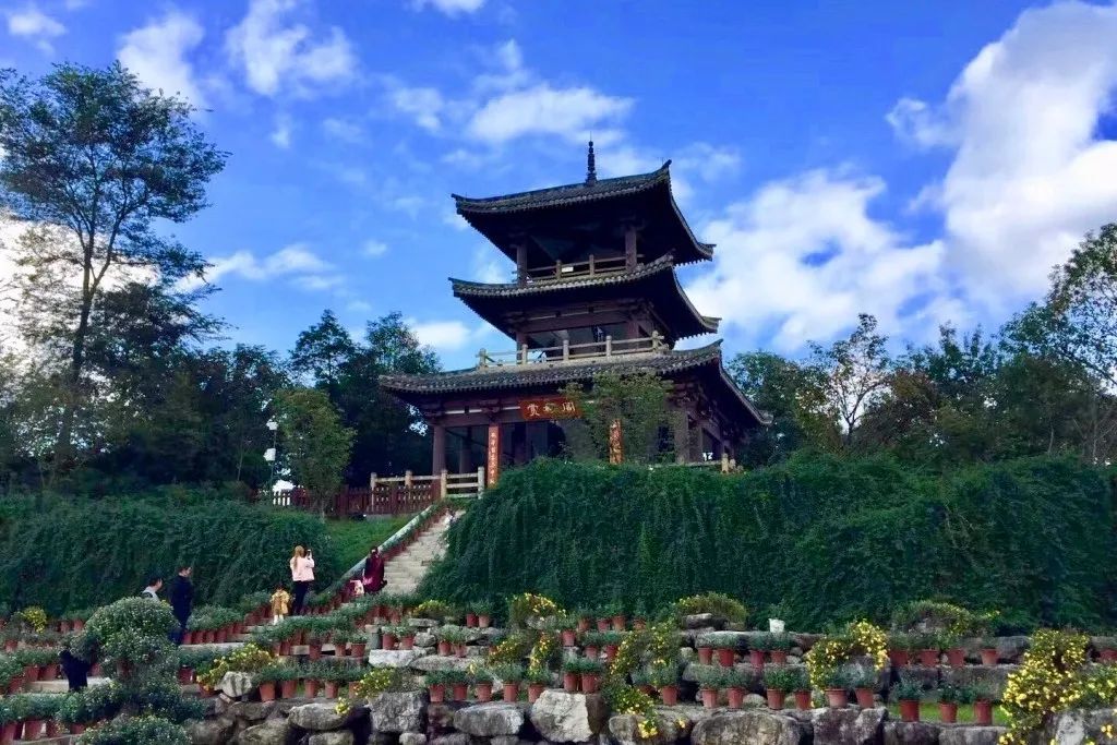 一周播报39期｜苏宁云商落户、秋季花展、书法展、港澳签注便捷化……国际化青白江给你好看！