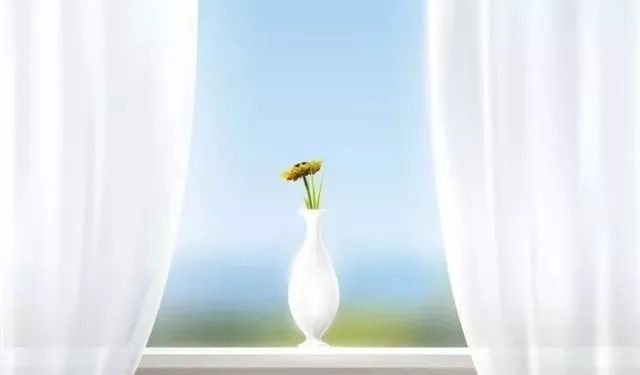 窗帘免拆清洗技巧与关注事项,窗帘免拆清洗技巧及教程