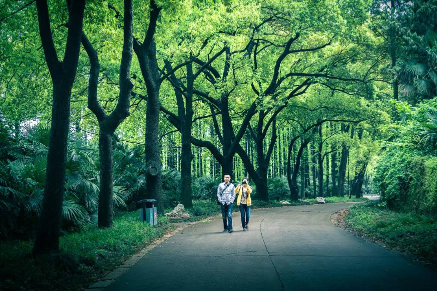 简单介绍一下安徽马鞍山,我的家乡最美的地方是马鞍山