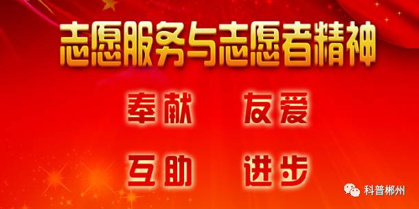 窗帘免拆清洗技巧与关注事项,窗帘免拆清洗技巧及教程