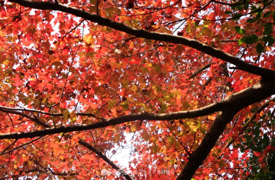 万绿湖是第几大湖,淡水万绿湖