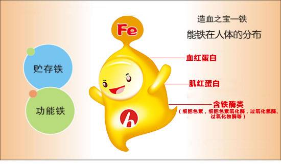 隐性饥饿有哪些,隐性饥饿怎么形成