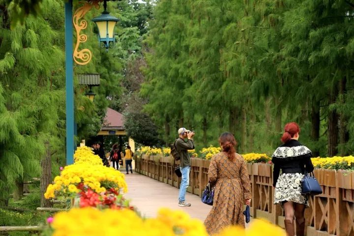 一周播报39期｜苏宁云商落户、秋季花展、书法展、港澳签注便捷化……国际化青白江给你好看！