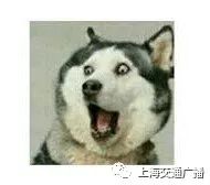 驾驶证副证丢了有危害吗,驾驶证副证丢了怎么办理流程