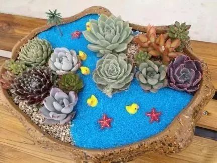 东西湖新型职业农民 (相城区新型职业农民)