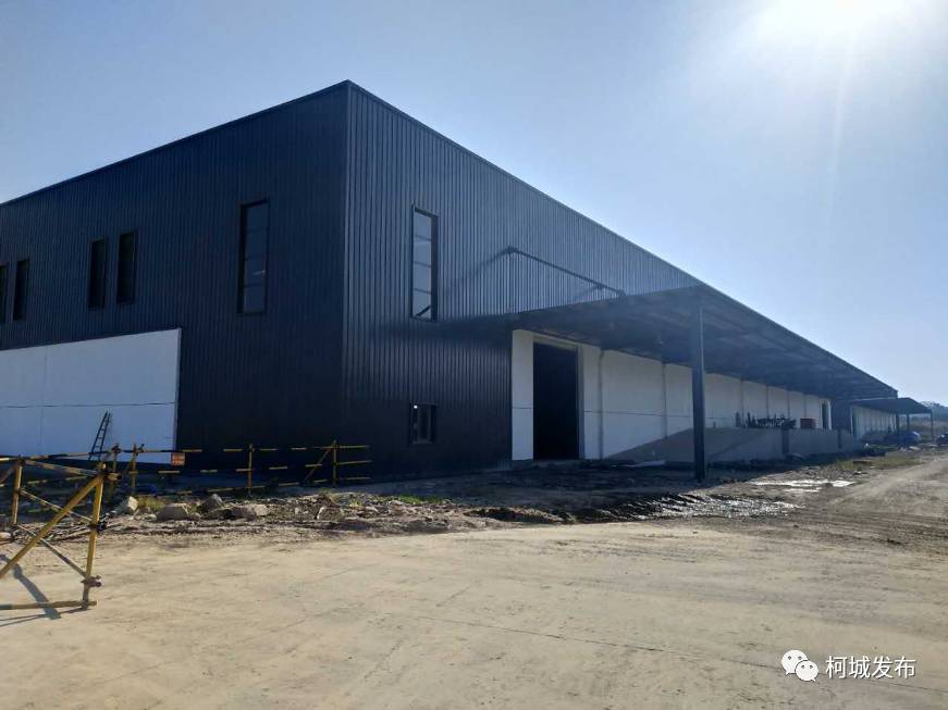 拥抱新时代｜插上腾飞的翅膀——近五年柯城区物流产业发展回顾