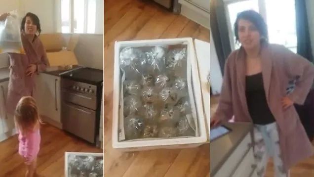 那些被气哭的买家秀和卖家秀,被卖家秀坑了