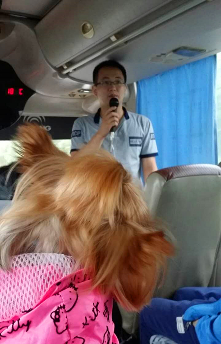 活动回顾｜欧帝亿主题狗狗巴士察哈尔草原深处探秘万年火山