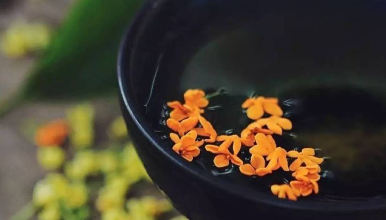 吃了酵素肚子咕咕拉肚子,吃酵素每天都拉肚子