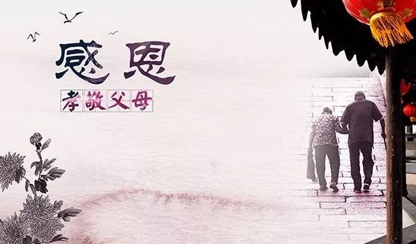 久久重阳，登高望远，大连棒棰岛景区推出敬老优惠