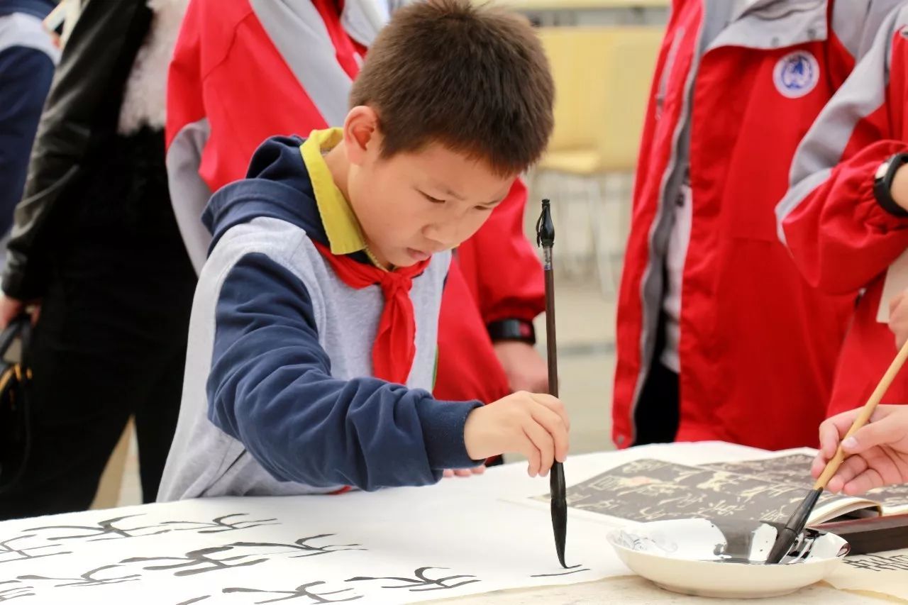 一周播报39期｜苏宁云商落户、秋季花展、书法展、港澳签注便捷化……国际化青白江给你好看！