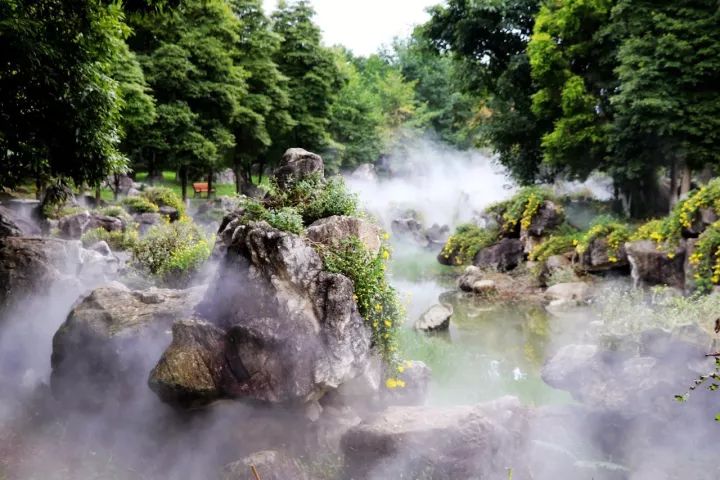 一周播报39期｜苏宁云商落户、秋季花展、书法展、港澳签注便捷化……国际化青白江给你好看！