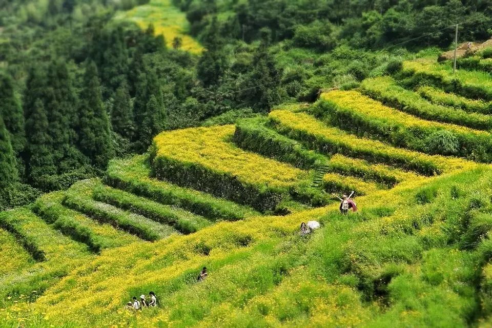 榆林到呼伦贝尔大草原怎么坐飞机,从榆林有去哪里的飞机