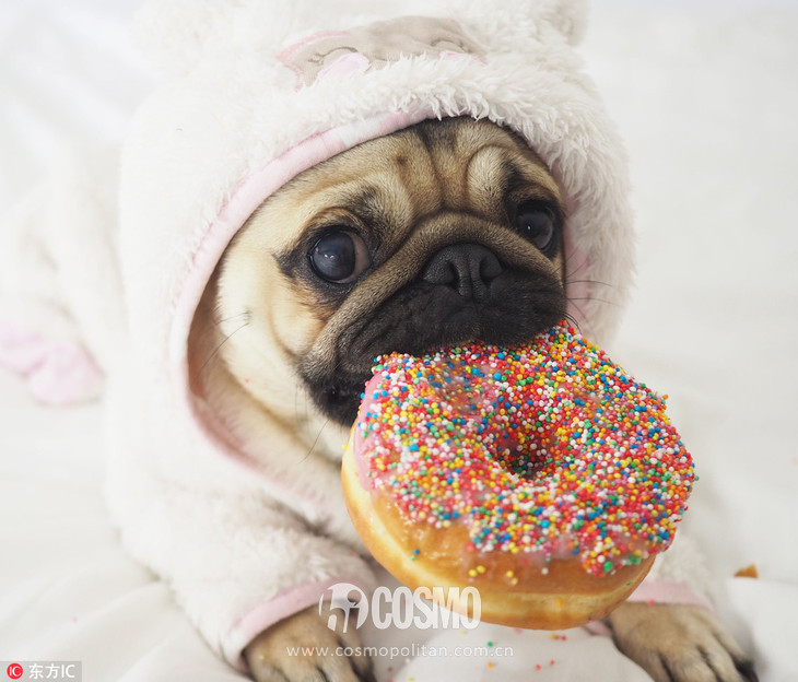 美人计｜敏感闭口统统找上门来，这个秋天你该怎么办？