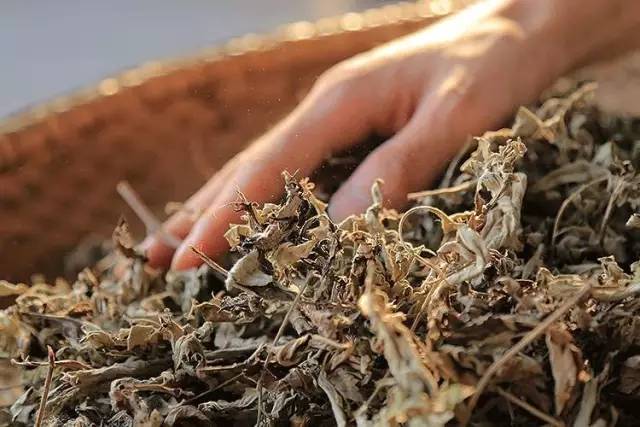 杏林微科普痔疮能自愈吗,杏林微资讯肛肠疾病