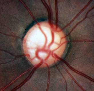 对不起，我又把杯盘比的事讲得这么俗