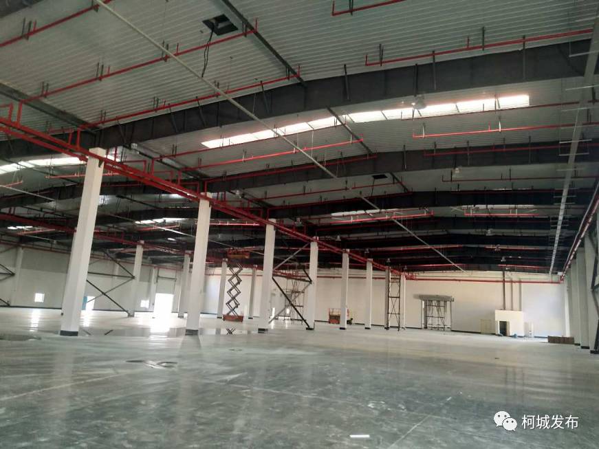 拥抱新时代｜插上腾飞的翅膀——近五年柯城区物流产业发展回顾