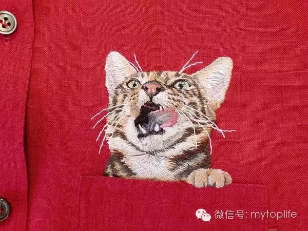 潮流趋势：日本艺术家将猫放在口袋里带出门