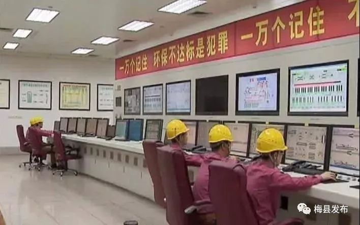 「聚焦」市区领导到宝丽华集团开展暖企行动：政企携手齐发力壮大实体经济