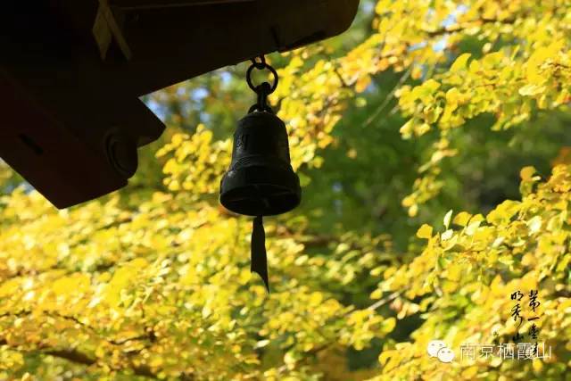 寺庙的风铃有啥含义,寺院的风铃代表什么意思