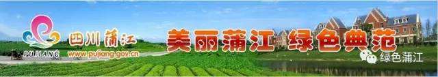 市政协副主席金嘉祥督导福田村扶贫工作