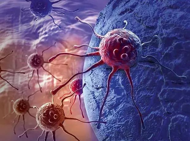 「每周快讯」VARUBIIV获得FDA批准治疗化疗后副作用!entrectinib获欧盟优先药物资格