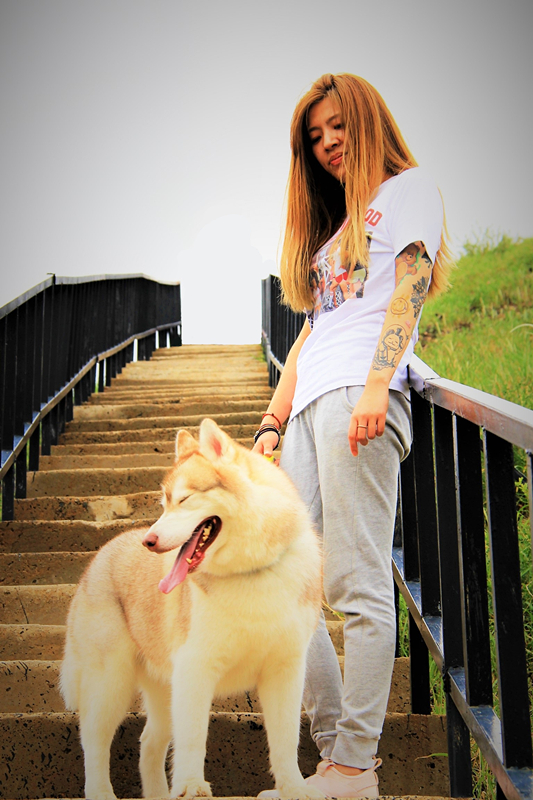 活动回顾｜欧帝亿主题狗狗巴士察哈尔草原深处探秘万年火山