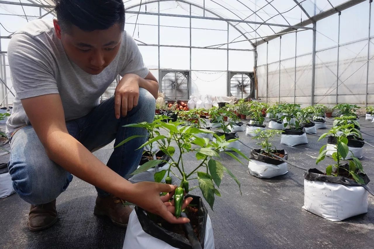 东西湖新型职业农民 (相城区新型职业农民)