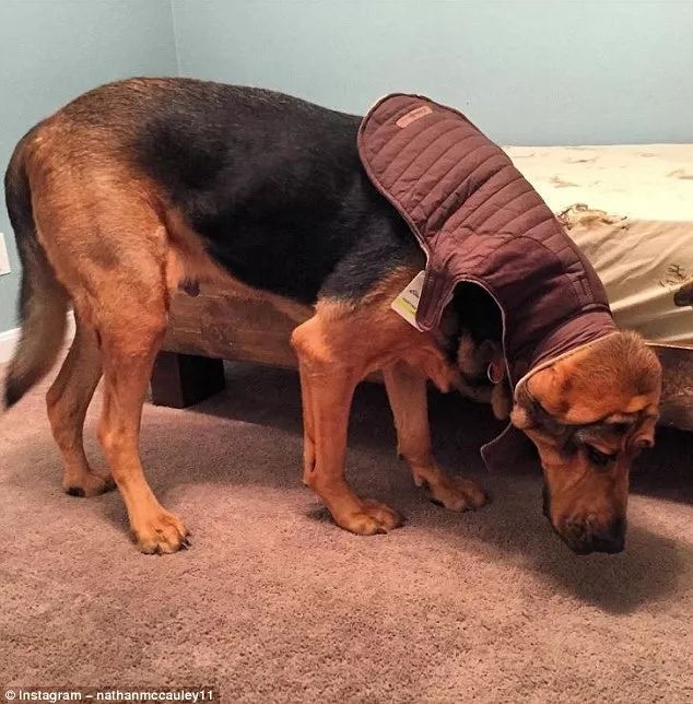 那些被气哭的买家秀和卖家秀,被卖家秀坑了