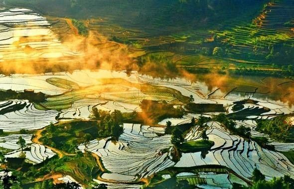 吃了酵素肚子咕咕拉肚子,吃酵素每天都拉肚子