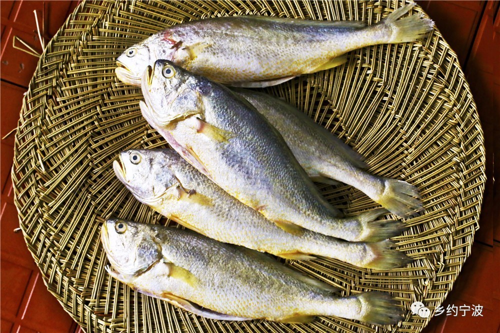 宁波的美食好吃吗,宁波有没有好吃的东西