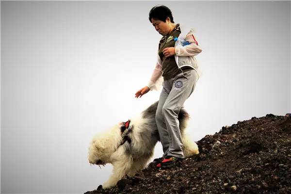 活动回顾｜欧帝亿主题狗狗巴士察哈尔草原深处探秘万年火山