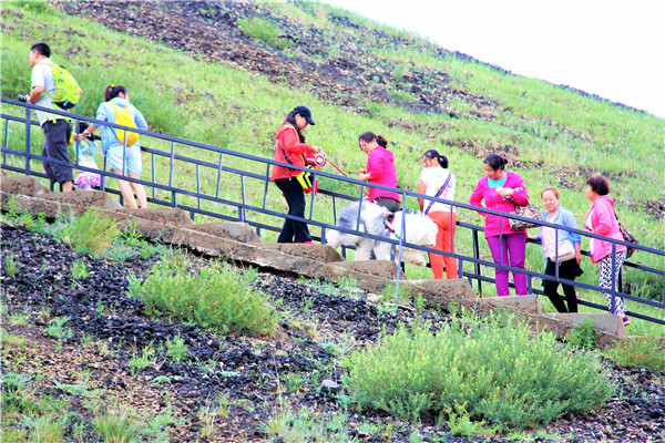 活动回顾｜欧帝亿主题狗狗巴士察哈尔草原深处探秘万年火山