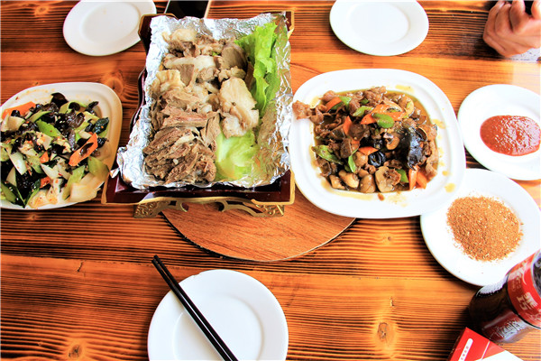 活动回顾｜欧帝亿主题狗狗巴士察哈尔草原深处探秘万年火山