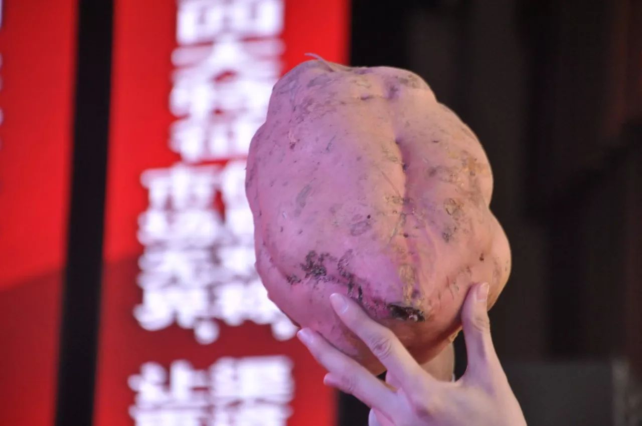 农资电商未来发展前景,农资电商的未来发展前景