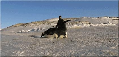 防滑秘籍,防滑小知识