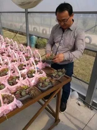 东西湖新型职业农民 (相城区新型职业农民)