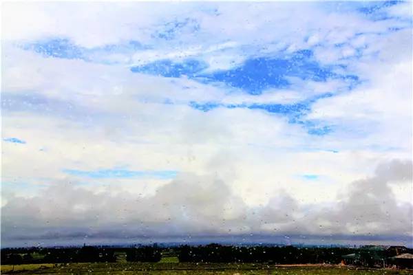 活动回顾｜欧帝亿主题狗狗巴士察哈尔草原深处探秘万年火山