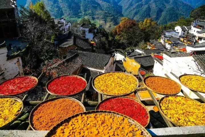 吃了酵素肚子咕咕拉肚子,吃酵素每天都拉肚子