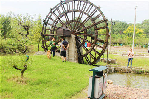 美丽乡村建设参观交流学习,参观学习美丽乡村典型经验