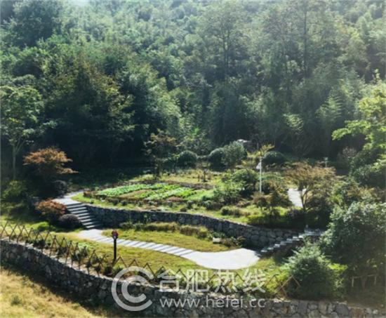 瀹犵墿鏂版父,瀹犵墿鏃呮父瓒嬪娍