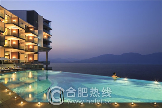 瀹犵墿鏂版父,瀹犵墿鏃呮父瓒嬪娍