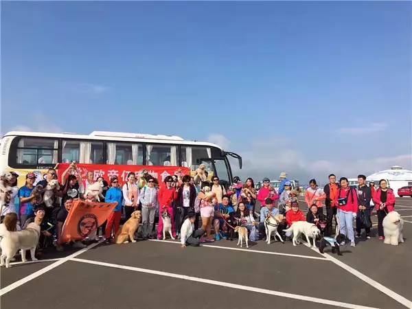 活动回顾｜欧帝亿主题狗狗巴士察哈尔草原深处探秘万年火山