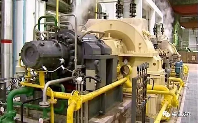 「聚焦」市区领导到宝丽华集团开展暖企行动：政企携手齐发力壮大实体经济